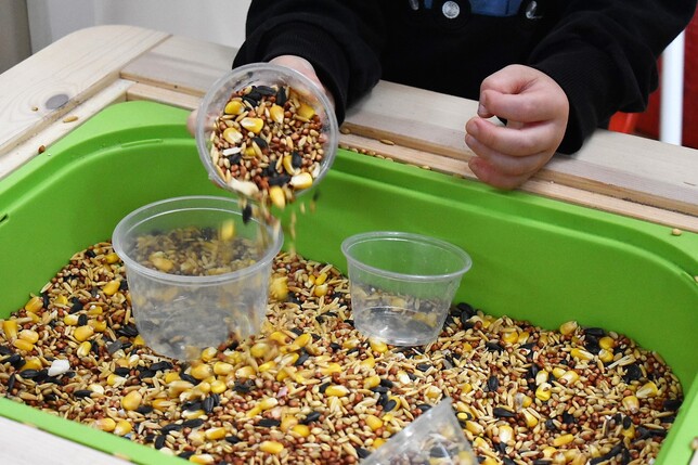 Pouring Seeds 2